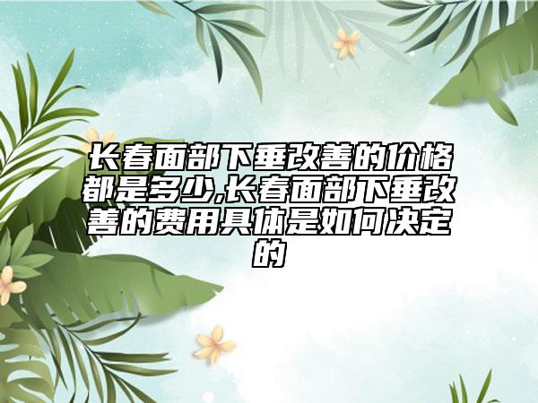 长春面部下垂改善的价格都是多少,长春面部下垂改善的费用具体是如何决定的