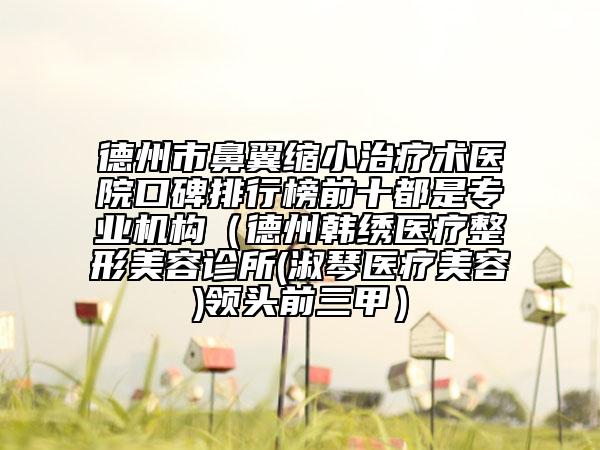 德州市鼻翼缩小治疗术医院口碑排行榜前十都是专业机构（德州韩绣医疗整形美容诊所(淑琴医疗美容)领头前三甲）