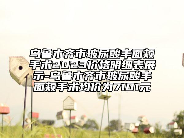 乌鲁木齐市玻尿酸丰面颊手术2023价格明细表展示-乌鲁木齐市玻尿酸丰面颊手术均价为7101元