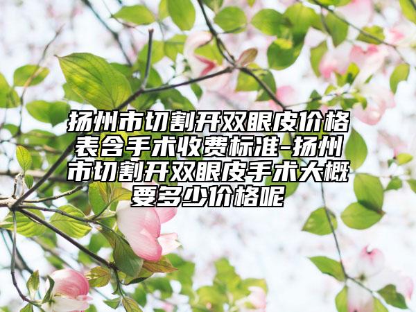 扬州市切割开双眼皮价格表含手术收费标准-扬州市切割开双眼皮手术大概要多少价格呢