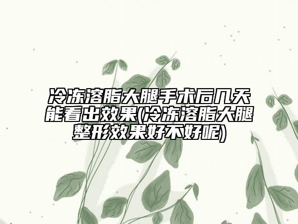 冷冻溶脂大腿手术后几天能看出效果(冷冻溶脂大腿整形效果好不好呢)