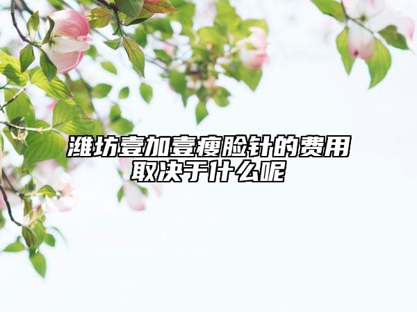 潍坊壹加壹瘦脸针的费用取决于什么呢