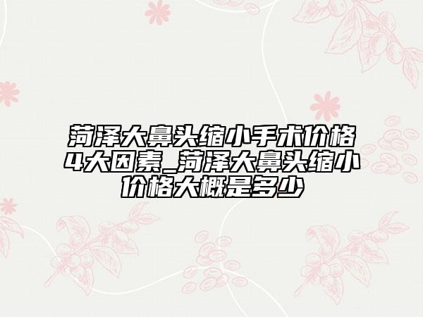 菏泽大鼻头缩小手术价格4大因素_菏泽大鼻头缩小价格大概是多少