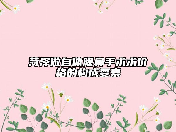 菏泽做自体隆鼻手术术价格的构成要素