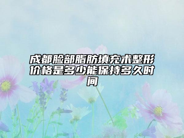 成都脸部脂肪填充术整形价格是多少能保持多久时间