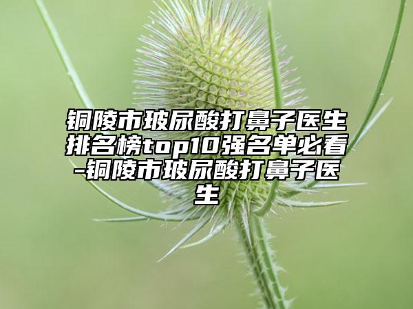 铜陵市玻尿酸打鼻子医生排名榜top10强名单必看-铜陵市玻尿酸打鼻子医生