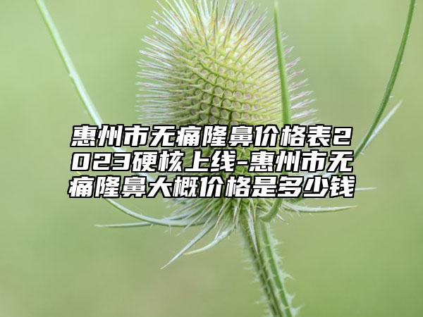 惠州市无痛隆鼻价格表2023硬核上线-惠州市无痛隆鼻大概价格是多少钱