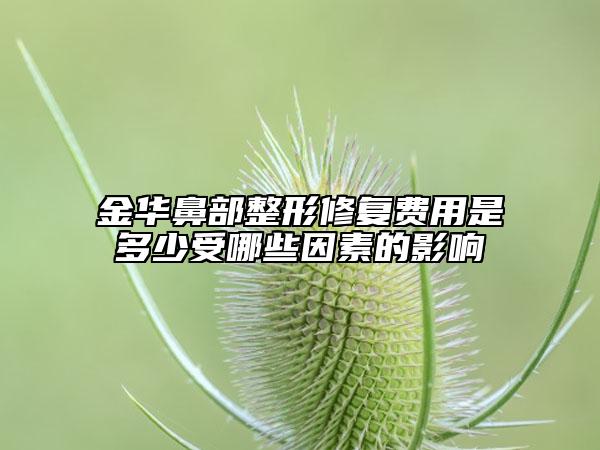 金华鼻部整形修复费用是多少受哪些因素的影响