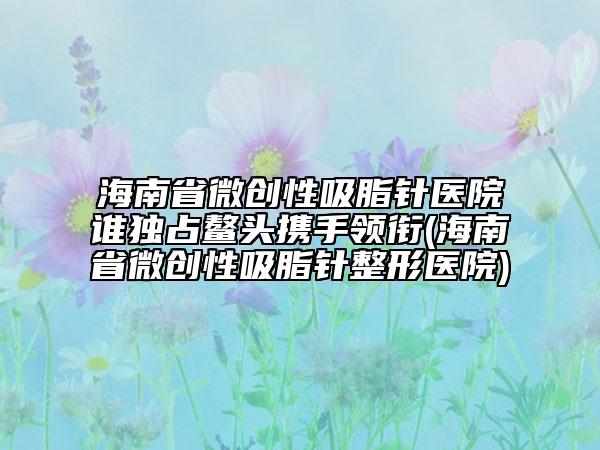 海南省微创性吸脂针医院谁独占鳌头携手领衔(海南省微创性吸脂针整形医院)
