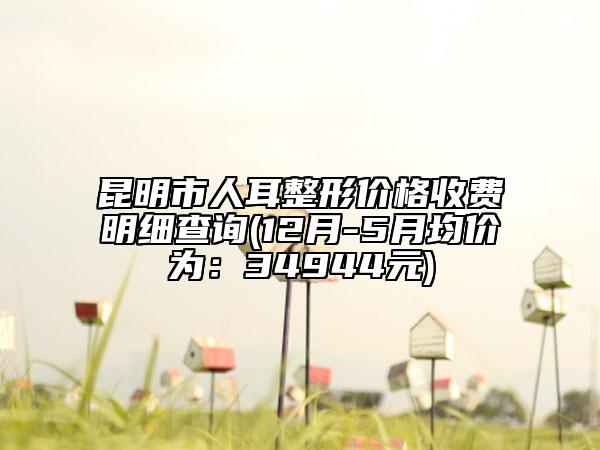 昆明市人耳整形价格收费明细查询(12月-5月均价为：34944元)