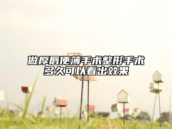 做厚唇便薄手术整形手术多久可以看出效果