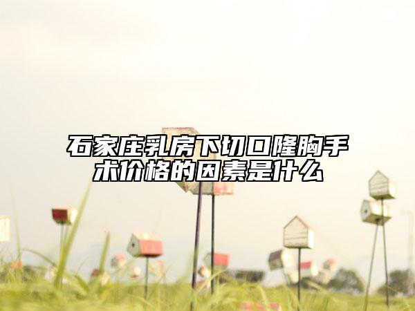 石家庄乳房下切口隆胸手术价格的因素是什么
