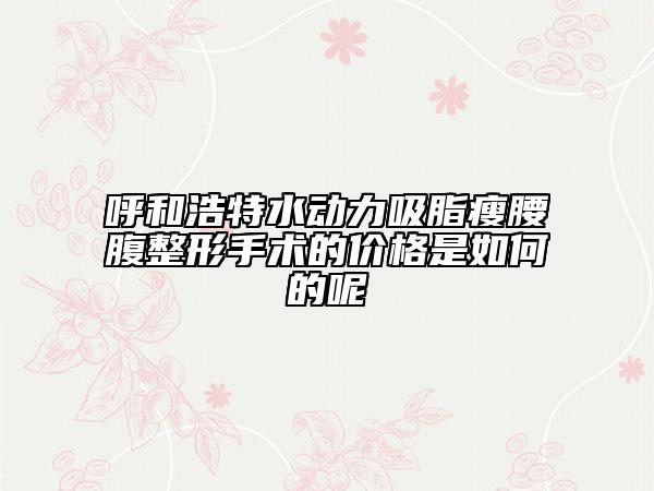 呼和浩特水动力吸脂瘦腰腹整形手术的价格是如何的呢