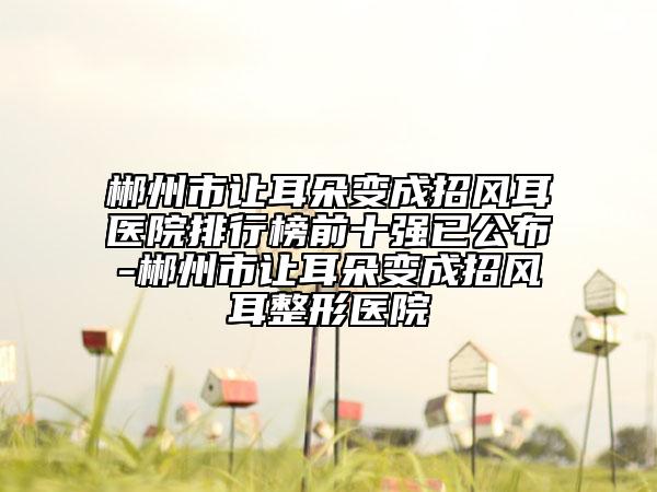 郴州市让耳朵变成招风耳医院排行榜前十强已公布-郴州市让耳朵变成招风耳整形医院