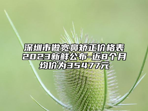 深圳市做宽鼻矫正价格表2023新鲜公布-近8个月均价为35477元