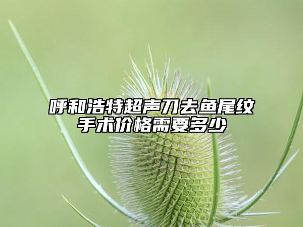 呼和浩特超声刀去鱼尾纹手术价格需要多少