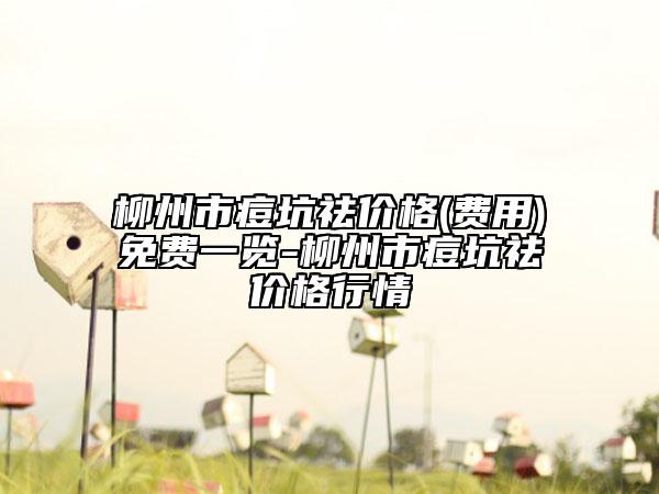 柳州市痘坑祛价格(费用)免费一览-柳州市痘坑祛价格行情