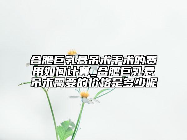 合肥巨乳悬吊术手术的费用如何计算_合肥巨乳悬吊术需要的价格是多少呢