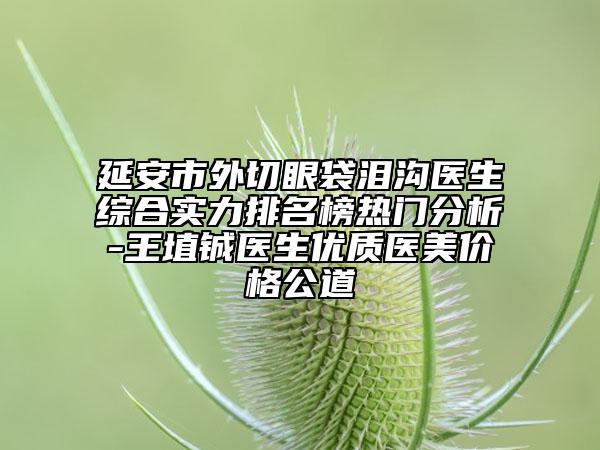 延安市外切眼袋泪沟医生综合实力排名榜热门分析-王埴铖医生优质医美价格公道