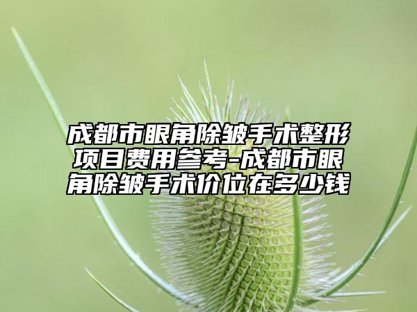 成都市眼角除皱手术整形项目费用参考-成都市眼角除皱手术价位在多少钱