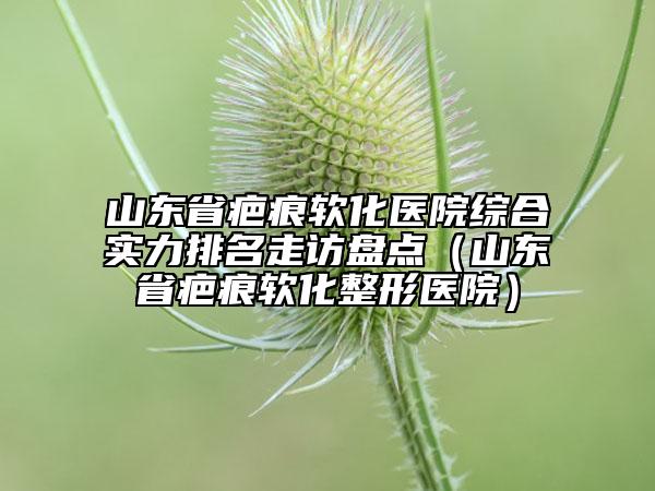 山东省疤痕软化医院综合实力排名走访盘点（山东省疤痕软化整形医院）