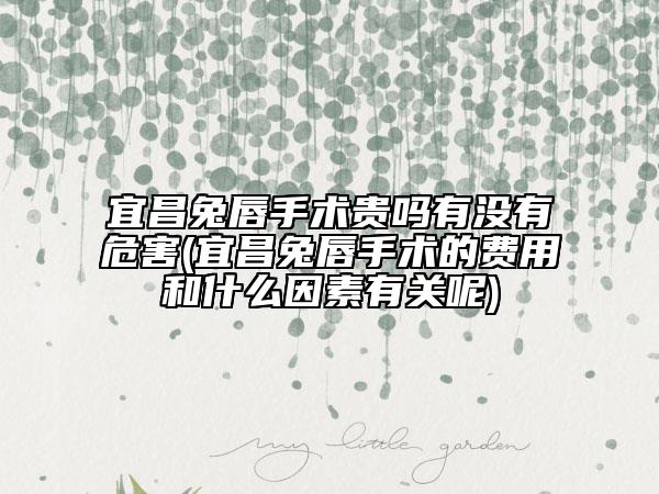 宜昌兔唇手术贵吗有没有危害(宜昌兔唇手术的费用和什么因素有关呢)
