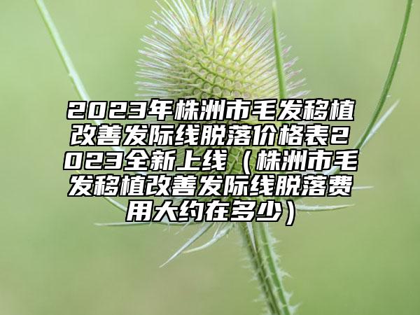 2023年株洲市毛发移植改善发际线脱落价格表2023全新上线（株洲市毛发移植改善发际线脱落费用大约在多少）
