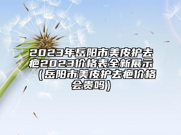 2023年岳阳市美皮护去疤2023价格表全新展示（岳阳市美皮护去疤价格会贵吗）