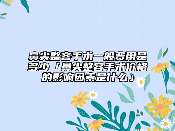 鼻尖整容手术一般费用是多少「鼻尖整容手术价格的影响因素是什么」