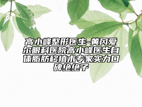 高小峰整形医生-黄冈爱尔眼科医院高小峰医生自体脂肪移植术专家实力口碑绝绝子