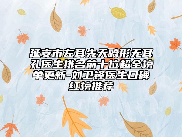 延安市左耳先天畸形无耳孔医生排名前十位超全榜单更新-刘卫锋医生口碑红榜推荐