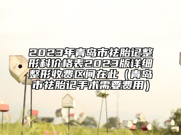 2023年青岛市祛胎记整形科价格表2023版详细整形收费区间在此（青岛市祛胎记手术需要费用）