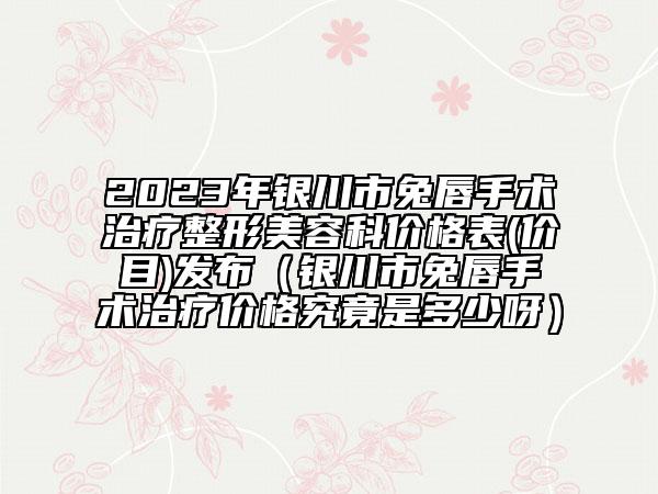 2023年银川市兔唇手术治疗整形美容科价格表(价目)发布（银川市兔唇手术治疗价格究竟是多少呀）