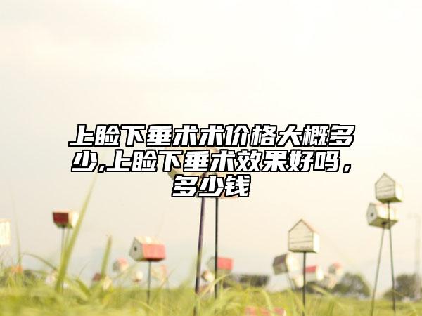 上睑下垂术术价格大概多少,上睑下垂术效果好吗，多少钱