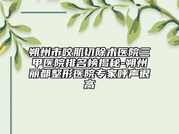 朔州市咬肌切除术医院三甲医院排名榜揭秘-朔州丽都整形医院专家呼声很高