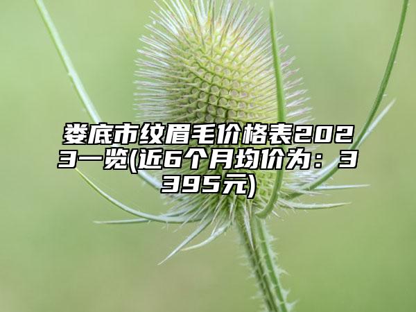 娄底市纹眉毛价格表2023一览(近6个月均价为：3395元)
