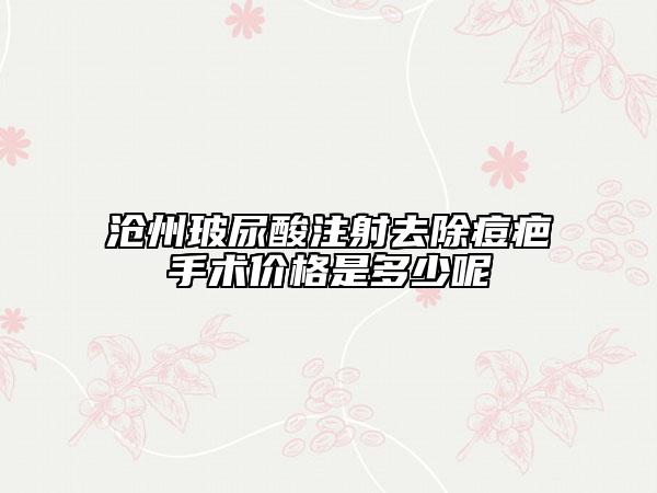 沧州玻尿酸注射去除痘疤手术价格是多少呢