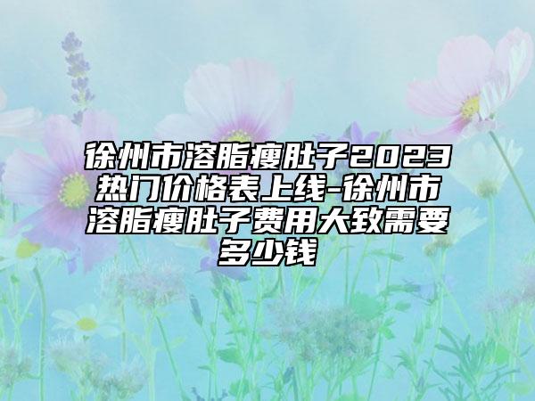 徐州市溶脂瘦肚子2023热门价格表上线-徐州市溶脂瘦肚子费用大致需要多少钱
