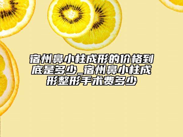 宿州鼻小柱成形的价格到底是多少_宿州鼻小柱成形整形手术费多少