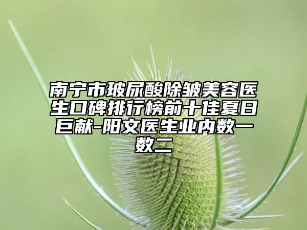 南宁市玻尿酸除皱美容医生口碑排行榜前十佳夏日巨献-阳文医生业内数一数二