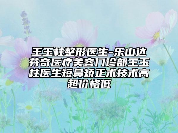 王玉柱整形医生-乐山达芬奇医疗美容门诊部王玉柱医生短鼻矫正术技术高超价格低