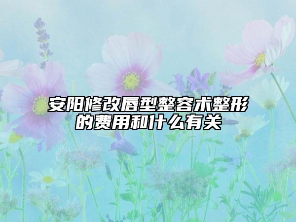 安阳修改唇型整容术整形的费用和什么有关