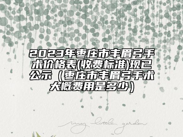 2023年枣庄市丰眉弓手术价格表(收费标准)现已公示（枣庄市丰眉弓手术大概费用是多少）