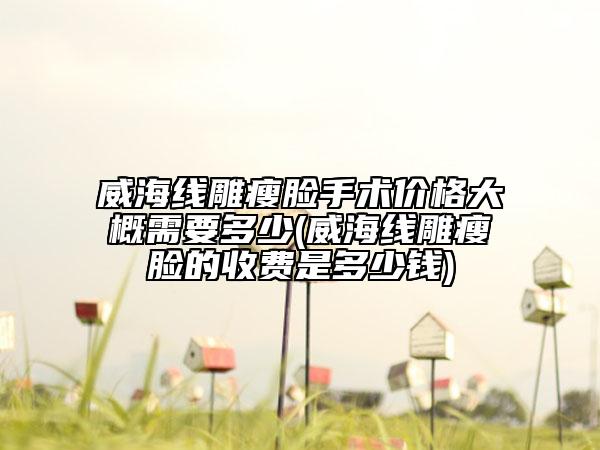 威海线雕瘦脸手术价格大概需要多少(威海线雕瘦脸的收费是多少钱)