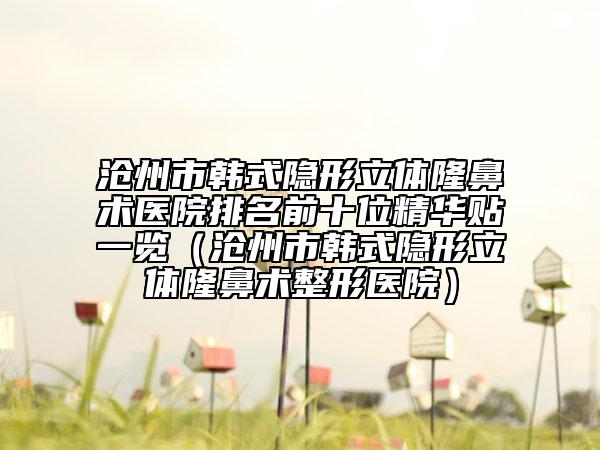 沧州市韩式隐形立体隆鼻术医院排名前十位精华贴一览（沧州市韩式隐形立体隆鼻术整形医院）
