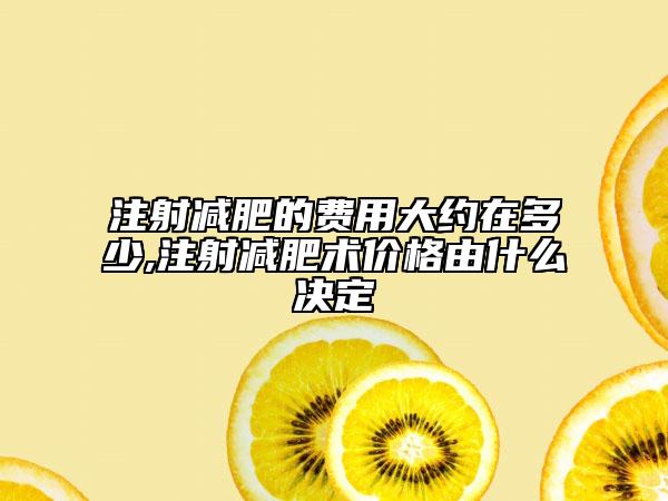 注射减肥的费用大约在多少,注射减肥术价格由什么决定