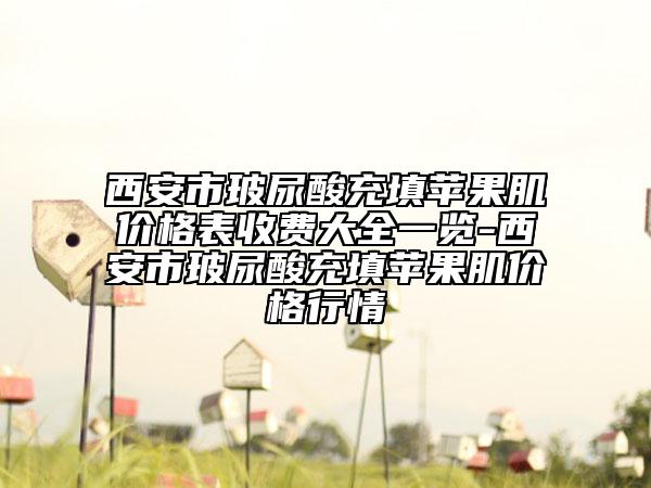 西安市玻尿酸充填苹果肌价格表收费大全一览-西安市玻尿酸充填苹果肌价格行情