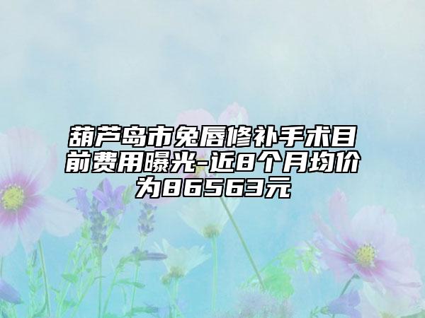 葫芦岛市兔唇修补手术目前费用曝光-近8个月均价为86563元