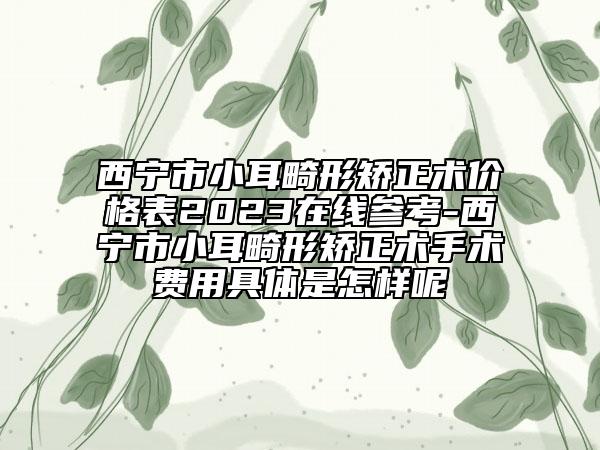 西宁市小耳畸形矫正术价格表2023在线参考-西宁市小耳畸形矫正术手术费用具体是怎样呢