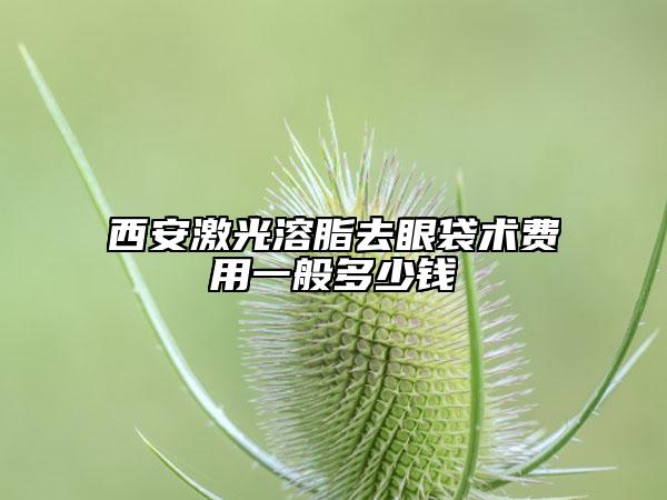 西安激光溶脂去眼袋术费用一般多少钱